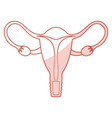 female reproductive organ icon vector image
