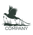 bird pheasant logo vector image vector image