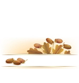banner with acorns vector image vector image