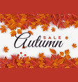autumn leaves background vector image