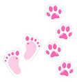 cute pink baby footprint and pet paws vector image vector image