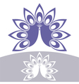 peacock vector image vector image