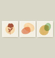 botanical wall art posters templates set vector image vector image