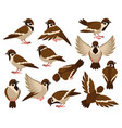 cartoon sparrow bird cute little flying bird vector image vector image