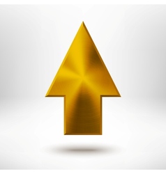 Gold app icon template with metal texture Vector Image