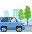 person driving car design vector image