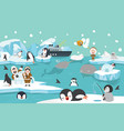 north pole artic animals background vector image
