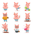 little cartoon pigs characters posing in different vector image