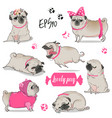 set with cute cartoon pug vector image vector image