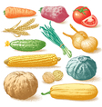 vegetables fruits and plants hand drawn vector image vector image