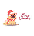 seasonal template with new years vector image vector image