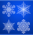 set of christmas snowflakes vector image