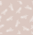 single-leaf pinyon pine cones and branches vector image vector image
