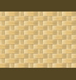 wicker pattern vector image