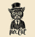 cat gentleman holding a watch and dressed hat vector image