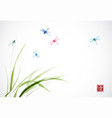 dragonflies flying over the green grass vector image