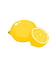 bright set of colorful juicy lemons vector image