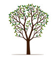green tree vector image