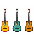 acoustic guitar vector image vector image