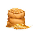 realistic bag with purified wheat grains vector image vector image