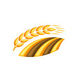 field with ripe wheat ear vector image