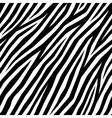 smooth zebra print vector image