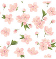 cherry flowers- seamless pattern vector image