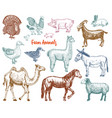 farm cute animal big set vector image