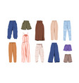 female clothes casual pants modern trousers vector image vector image