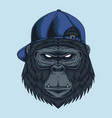 gorilla head cap vector image