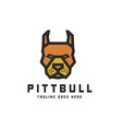pitbull logo vector image vector image