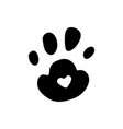 paw vector image
