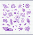 simple set of bacteria virus icons for web design vector image vector image