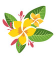yellow flowers on green leaves tropical paradise vector image