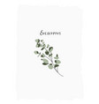 hand drawn delicate stylish flat botanical vector image