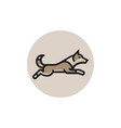 wolf run logo vector image