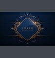 abstract blue and gold ornate frame template vector image