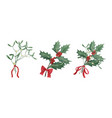 christmas traditional bouquet collection vector image