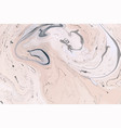decorative marble texture ink background vector image vector image
