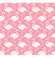 flamingo vector image vector image