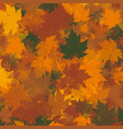 autumn leaves background vector image