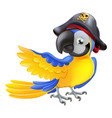 parrot pirate character vector image
