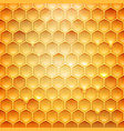 stock realistic honeycomb vector image