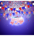 4th july independence day usa vector image vector image