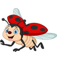 cartoon funny ladybug on white background vector image