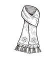 scarf vector image