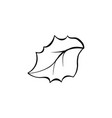 christmas plant leaf coloring book vector image vector image