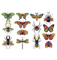 collection of fantasy colorful insects for design vector image