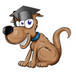 dog mascot character with graduation cap hat vector image vector image