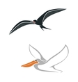 albatross and pelican birds symbols vector image